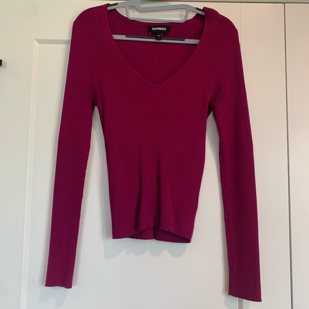 Magenta Express Fitted Vneck Sweater